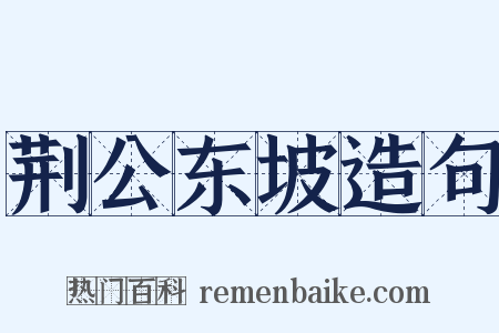 荆公东坡造句是什么意思的图片